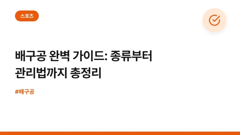 배구공 완벽 가이드: 종류부터 관리법까지 총정리